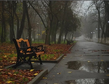 Пустой Парк В Дождь День — стоковые фотографии и другие ...