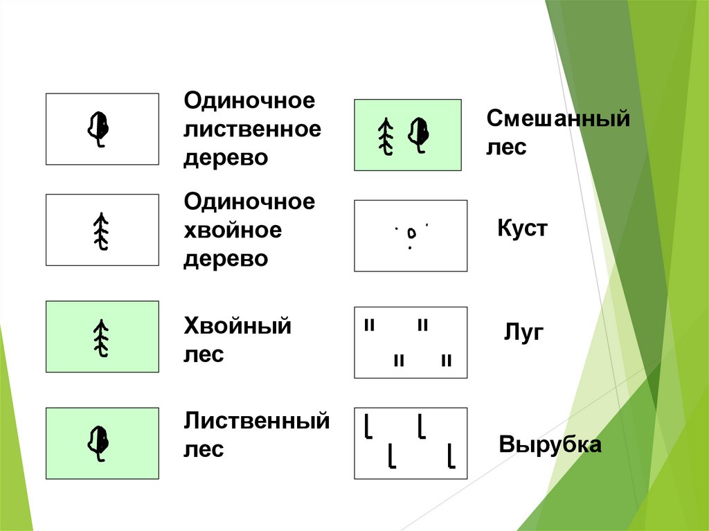 Какие бывают масштабы топографических ...