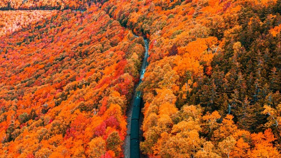 Обои осень, село, околица, дымка, утро на рабочий стол ...