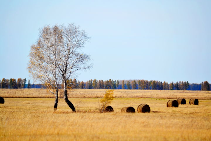 Осень, река, лес и степь на фотографиях ...