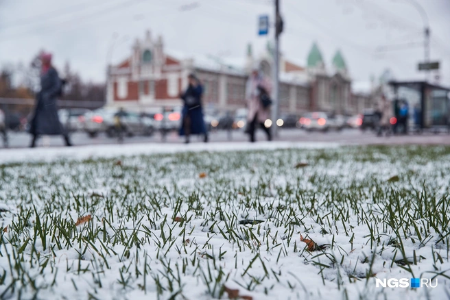 Первый снег / PhotoXPress