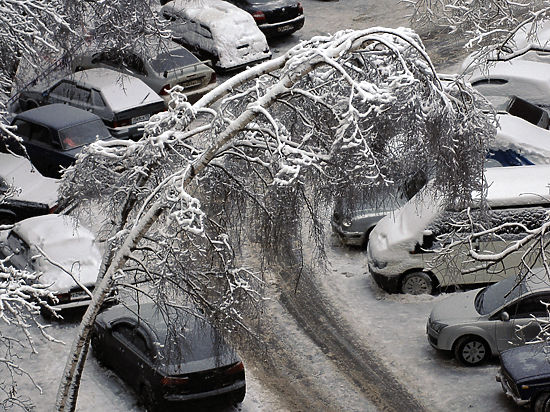 Ледяной дождь в Москве » BigPicture.ru