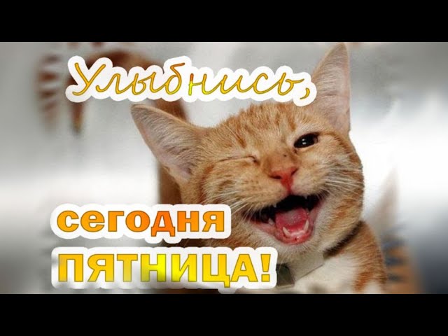 Доброе утро: веселые и красивые ...