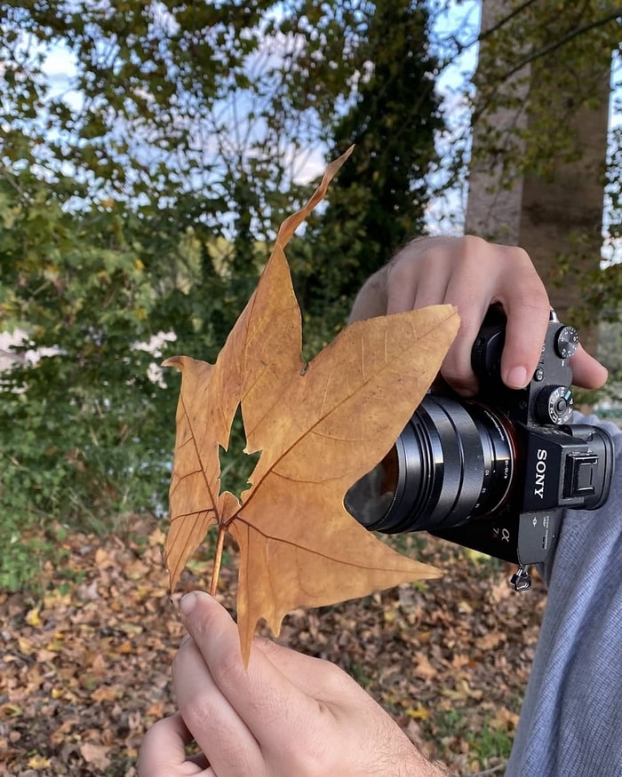 Осенняя фотосессия — идеи и образы для съемки на природе и ...