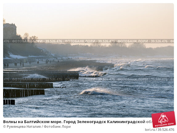 Суровое зимнее море - отзыв о Зеленоградский променад ...