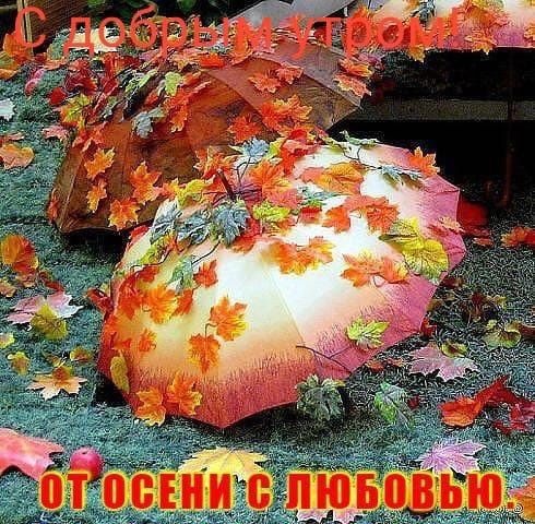 Открытки утро осень дождь - cтраница 24