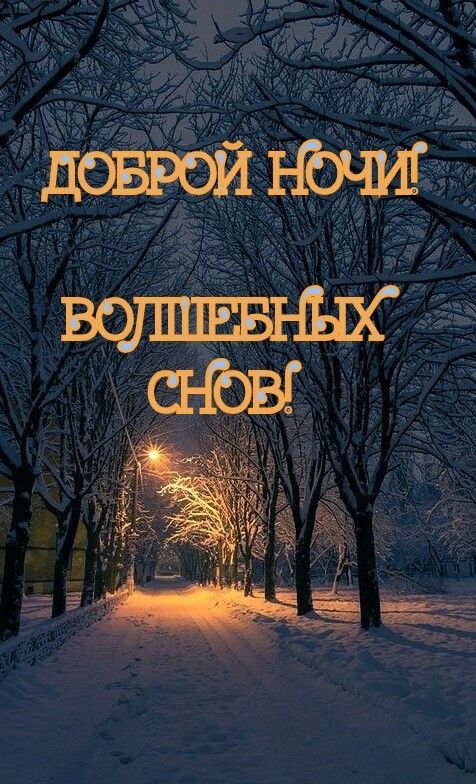 Спокойной зимней ночи! - анимационные ...