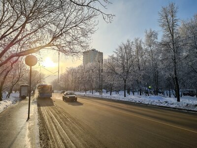 Зимнее солнце» картина Панова Эдуарда маслом на холсте ...