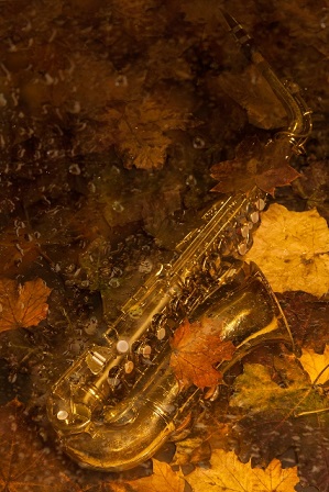 Как саксофон 🎷звучал щемяще. Лилась ...