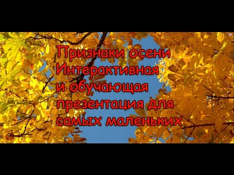 Презентация на тему: 