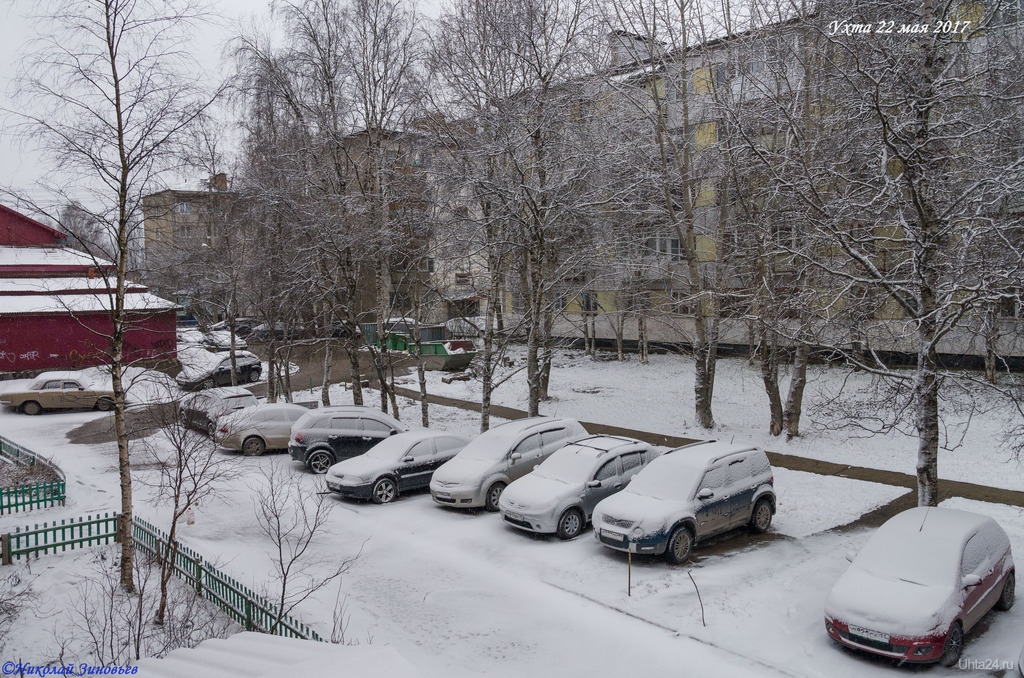 Фотография ❄Ураа, зима пришла, хотя, нет-нет, что это я, это ...