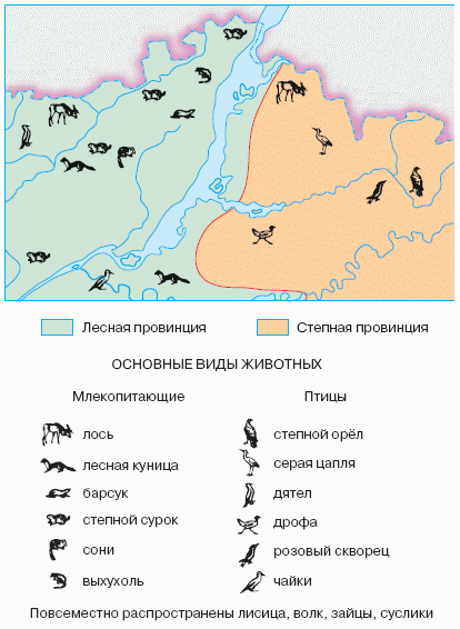 Где находится Бали? Остров богов на ...