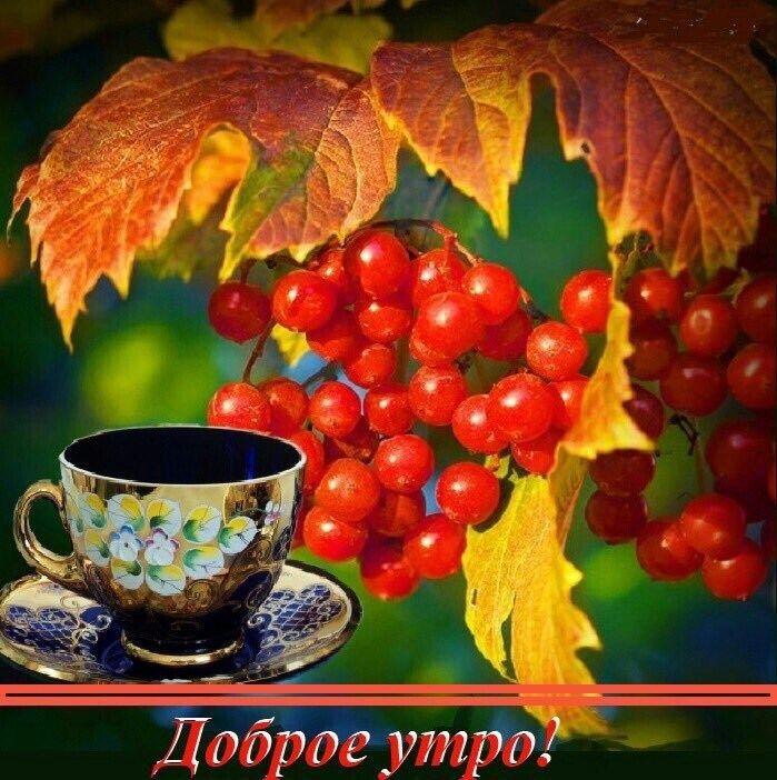 Доброе утро природа: хорошего дня ...