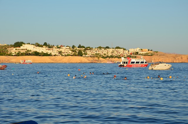 Почему в Красном море купаются только в Египте, а по всему ...