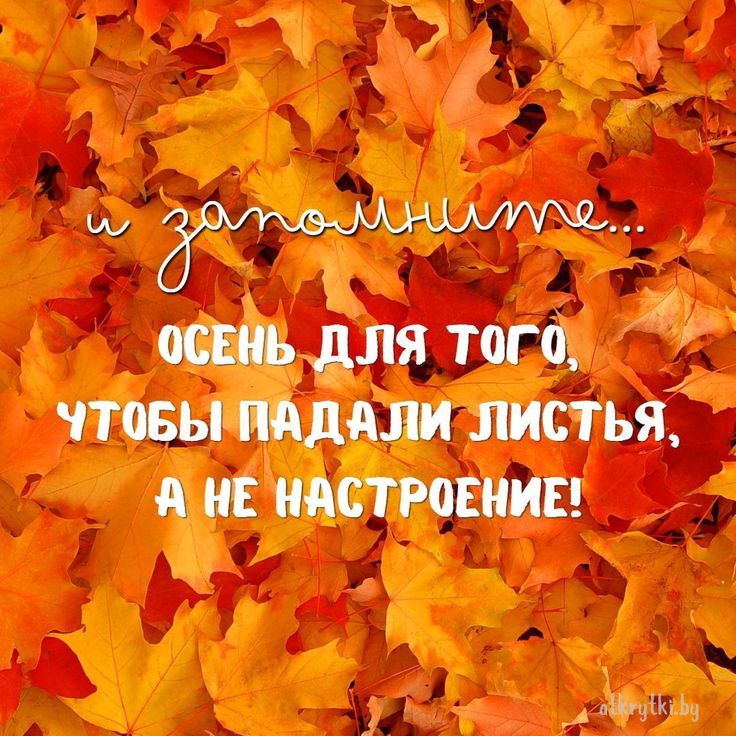 🍁 ⛅ ☕ Картинки С добрым осенним утром ...