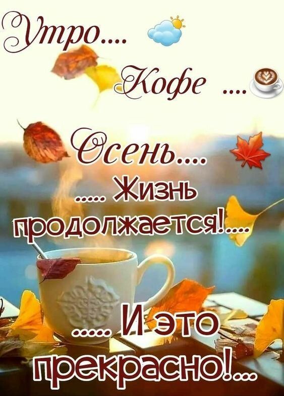 🍂Всех с добрым утром! ✌ 🍁️Пусть это утро начнется с ...