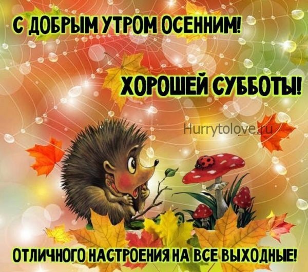 Доброе утро сентября 🌞🍁🍂🍁🤗 | TikTok