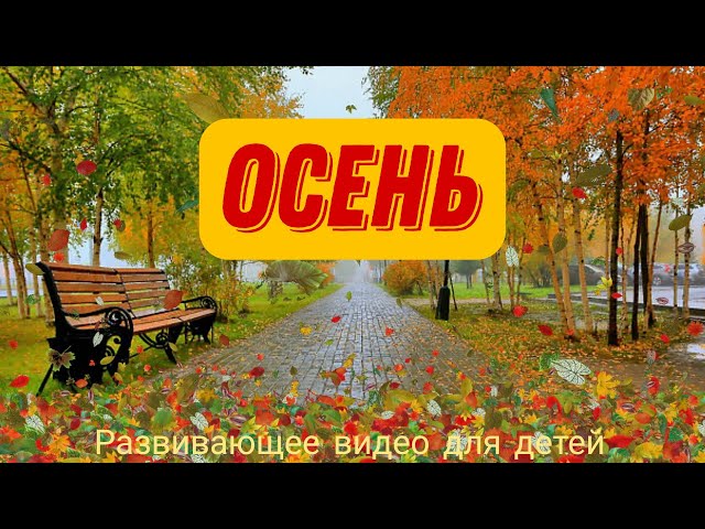 Осенние листья для оформления и танцев, сценок, размер а4 ...