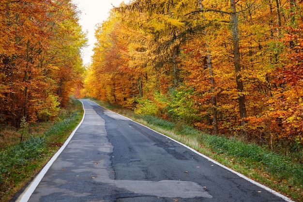 Дорога в осень 🍂 Место съёмки: Карачаево - Черкесская ...