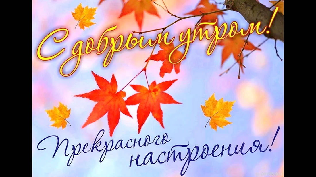 Осень… Доброе утро! ☀️🍂 картинки ...