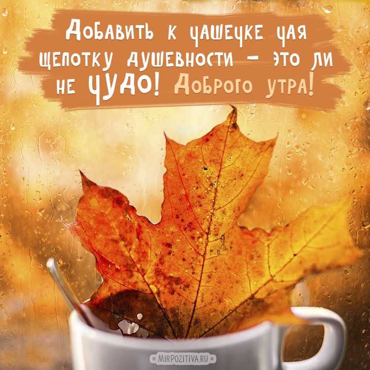 С добрым ноябрьским утром🍂