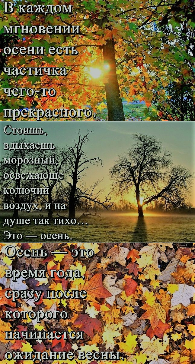 Юлия | #жизнь#жизненно#жизньпрекрасна ...