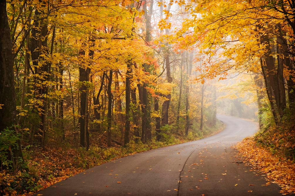 🍂🍂🍂Осень - это самая богатая пора в ...