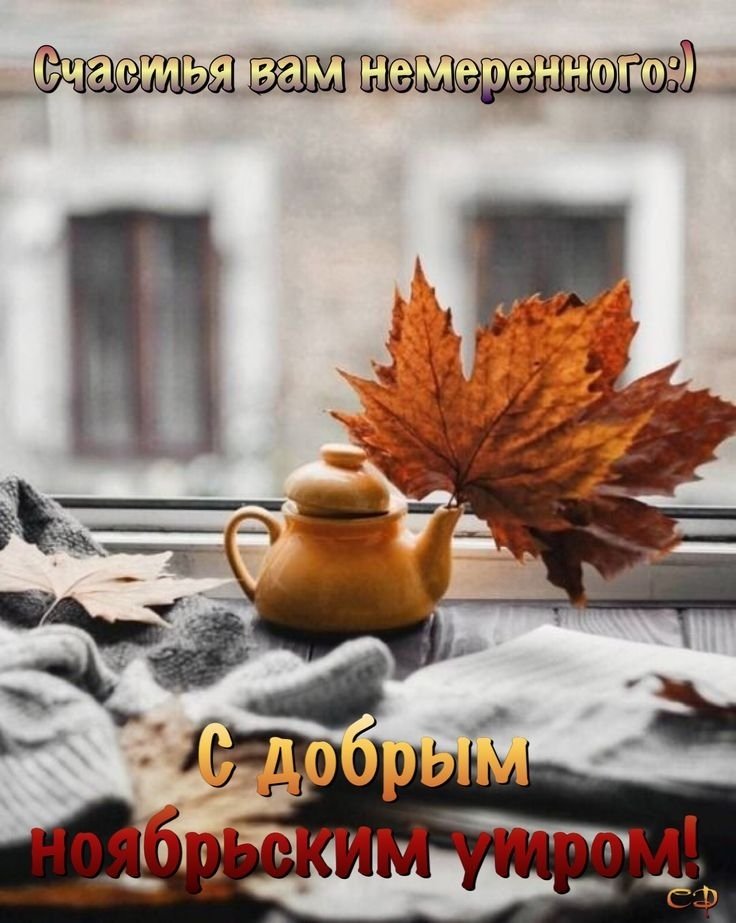 🍂🍁 ДОБРОЕ УТРО, ДРУЗЬЯ! ОТЛИЧНОГО ДНЯ ...