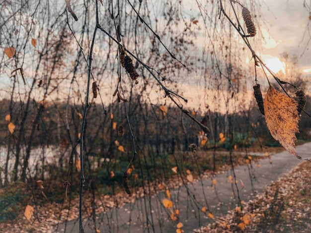 Поздняя осень. Утро. Стоковое фото ...