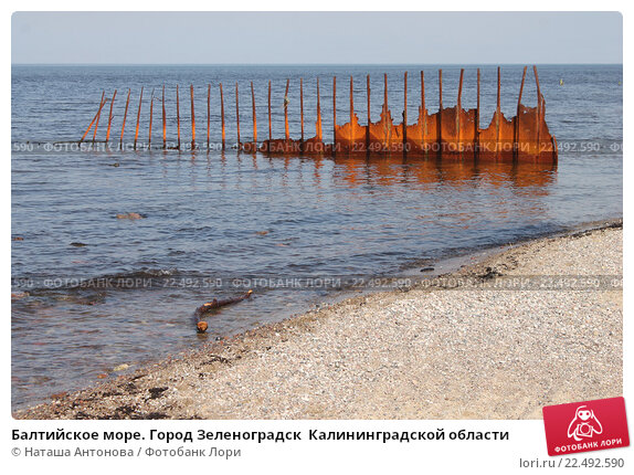 Сковородка, пляж, Калининградская область, Зеленоградск ...