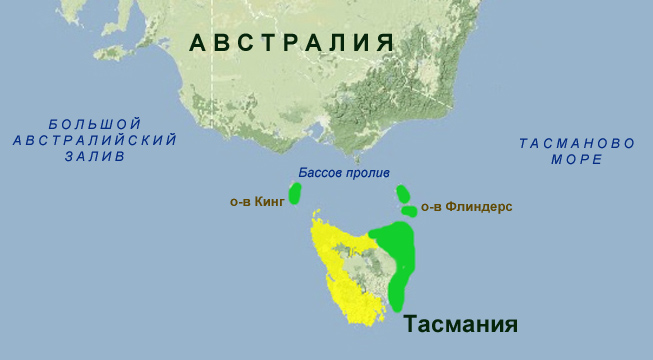 Сто чудес света :: Самые красивые места мира :: Остров Тасмания