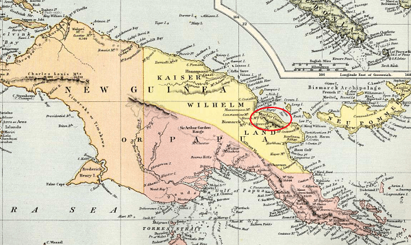 Кофе Папуа Новая Гвинея ▷ виды и сорта, история и география ...