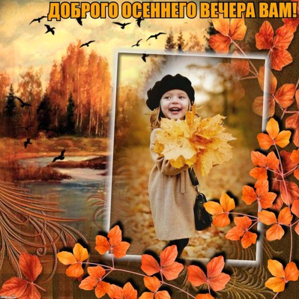 Хорошего Дня!🍂 | Открытки Тедди | ВКонтакте