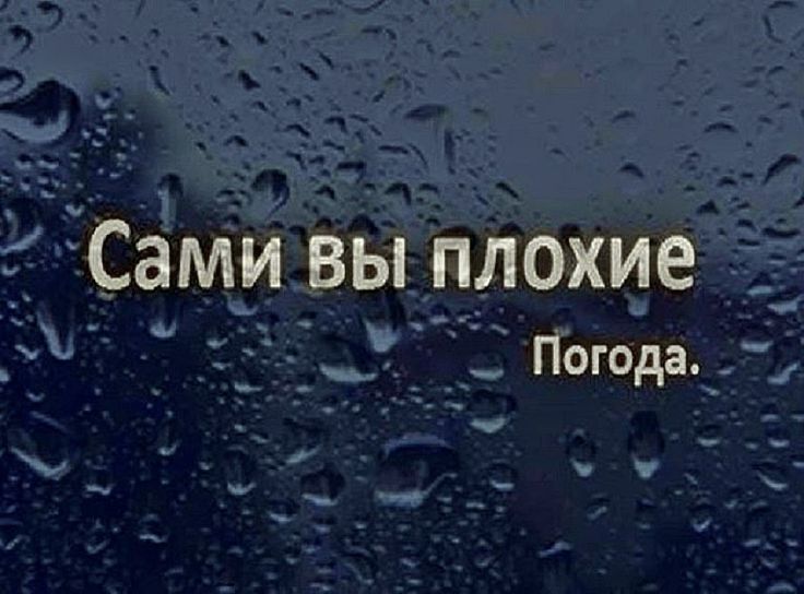 Автогон - #autogonn #автомобиль #юмор ...