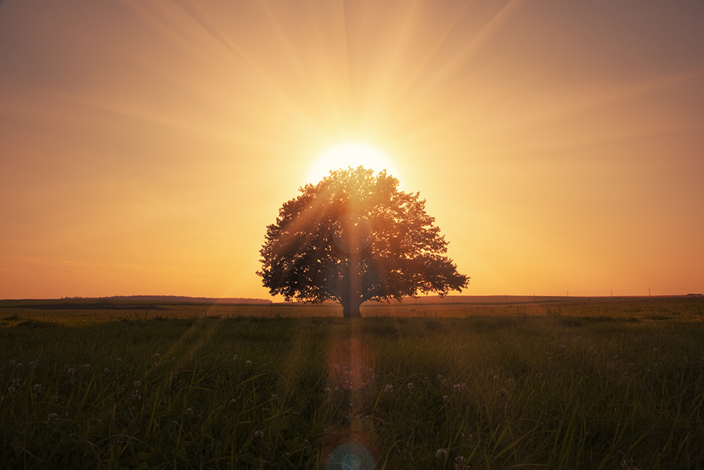 Солнце большое ☀ Его масса составляет ...