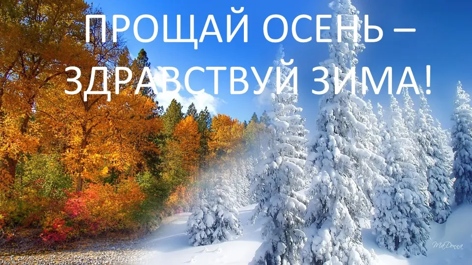 До Свидания Осень🍂 Здравствуй зима❄️ С последним днём ...