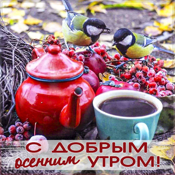 🍂🍁 ДОБРОЕ УТРО, ДРУЗЬЯ! ОТЛИЧНОГО ДНЯ ...