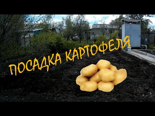 Известняковая (доломитовая) мука 3 кг