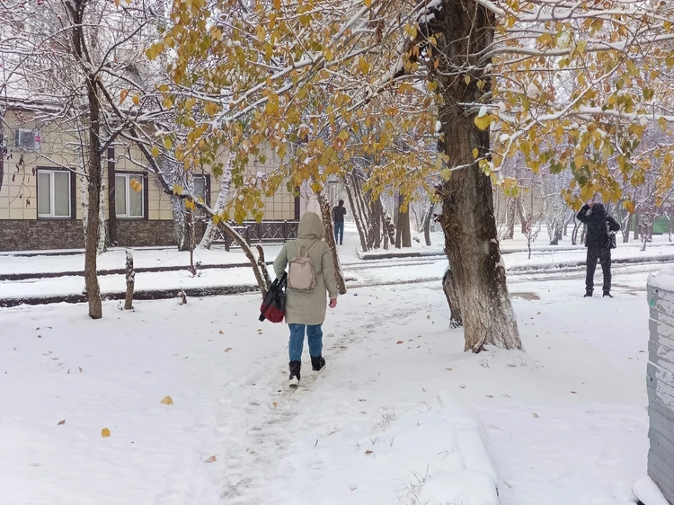 Бабье лето в Тюмени начнётся в октябре ...