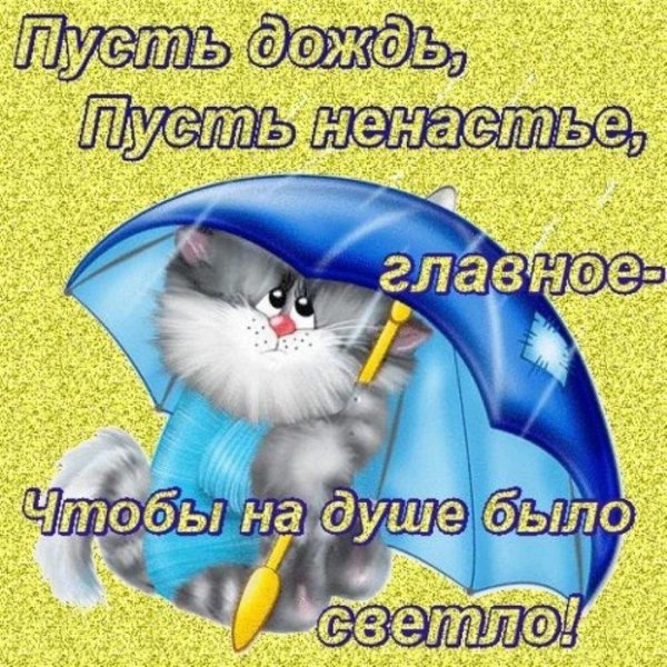 Вдождь