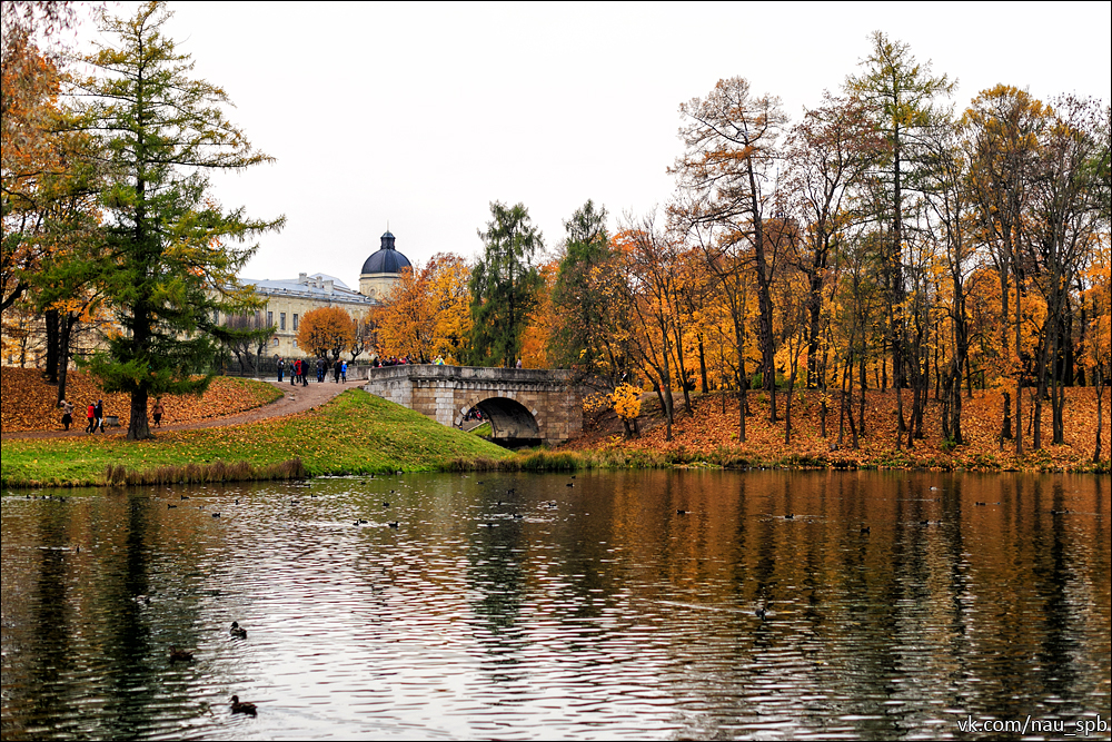 Осень в парке. Вид из Лесного Лабиринта - Picture of Gatchina ...