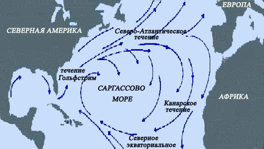 Какое море не имеет берега? — Музей фактов