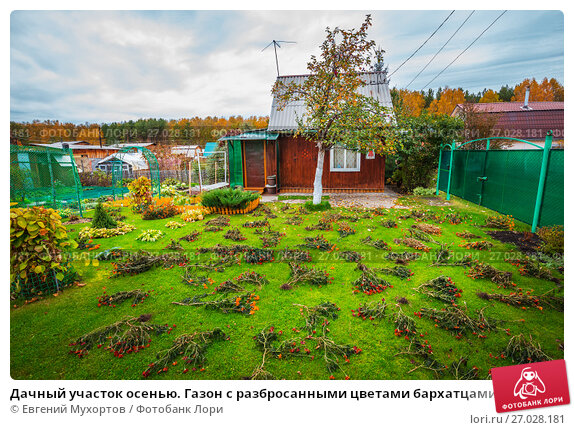 Как подготовить дачу к зиме: сохраните себе этот список дел ...