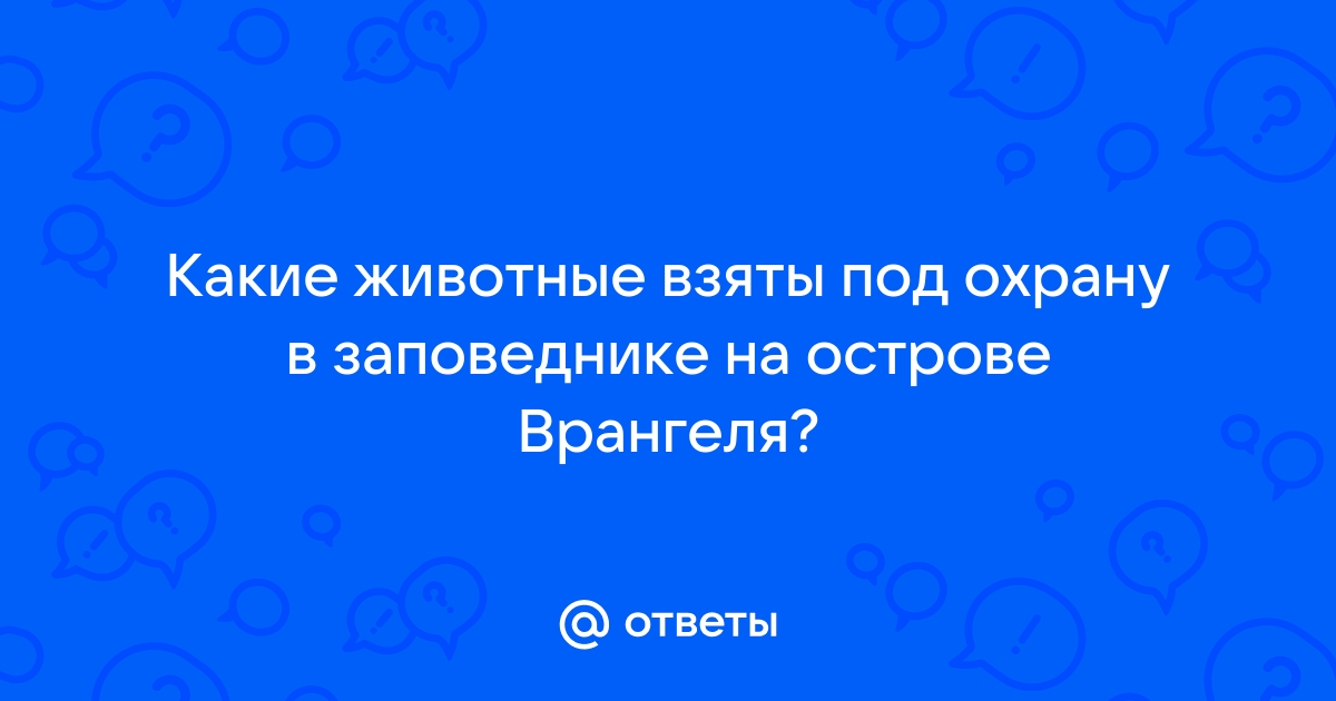 Овцебык — Википедия