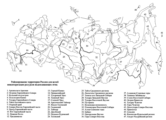 Презентація 