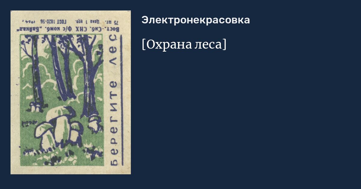 Охрана леса – дело каждого | VN.RU - новости Новосибирской ...