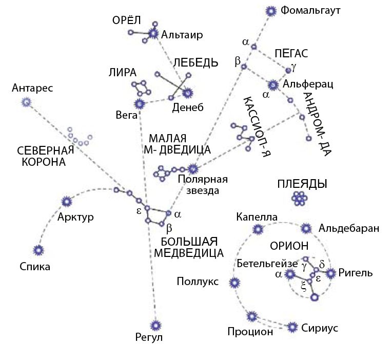 Подтарельник ребристый 