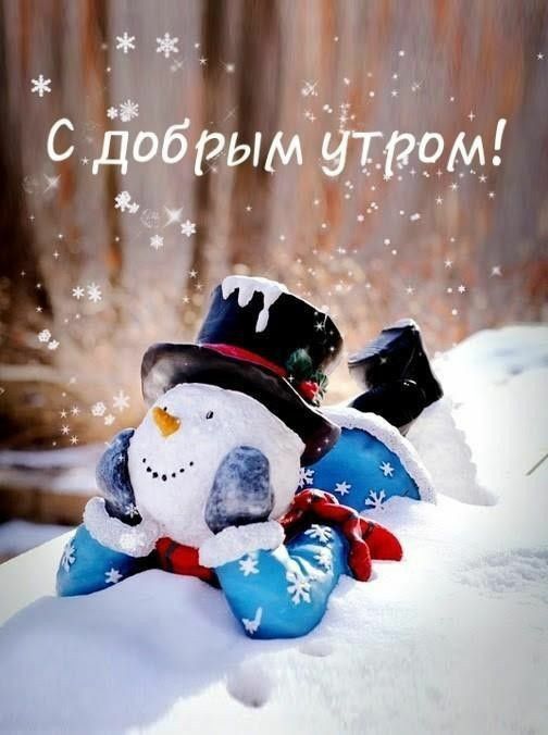 ❄️⛄😍 Картинки с добрым зимним утром - скачать (359 шт.)