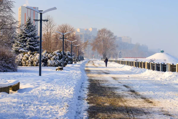 Скачать картинки Зима город девушка, стоковые фото Зима город ...