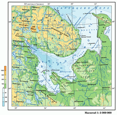 Население сублиторали и псевдоабиссали / Северные моря / Моря ...